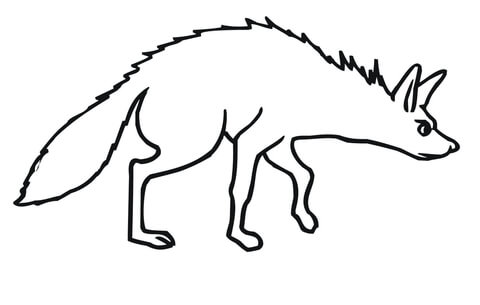 Aardwolf  Coloring page