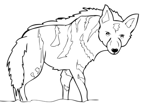 Aardwolf from Africa Coloring page