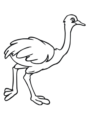 African Ostrich Coloring page