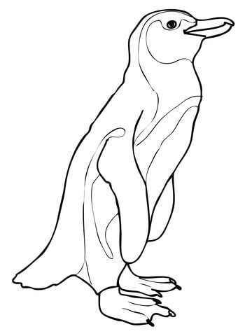 African Penguin Coloring page