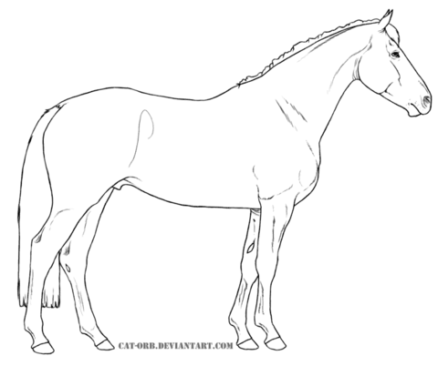 American Paint Horse Coloring page