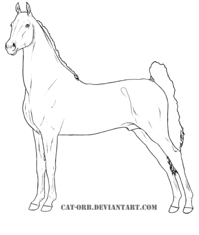 American Saddlebred Coloring page