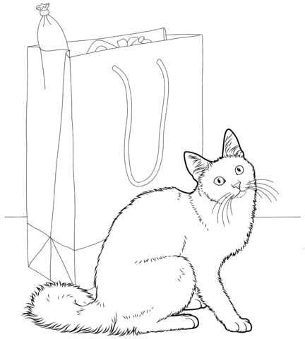 Angora Cat  Coloring page