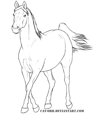 Arabian Mare Coloring page