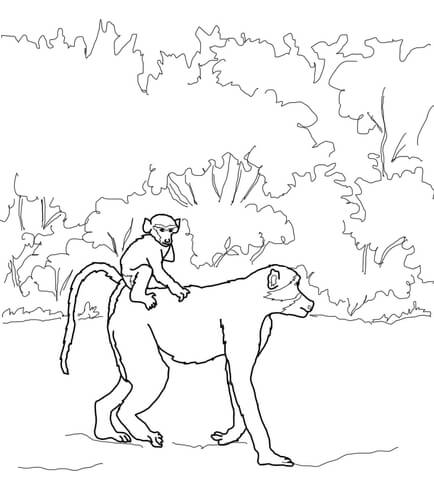 Baboon Baby Rides on Mothers Back Coloring page