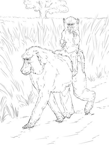 Baboon Mother Carries Baby on Back Coloring page