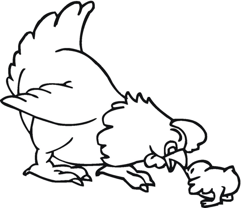 Hen and chick Coloring page