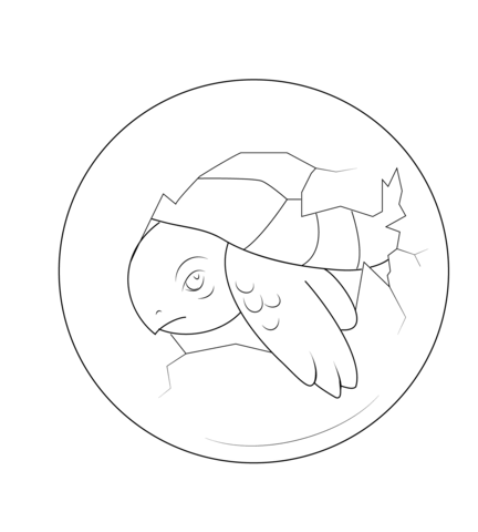 Baby Turtle Hatching from Egg Coloring page