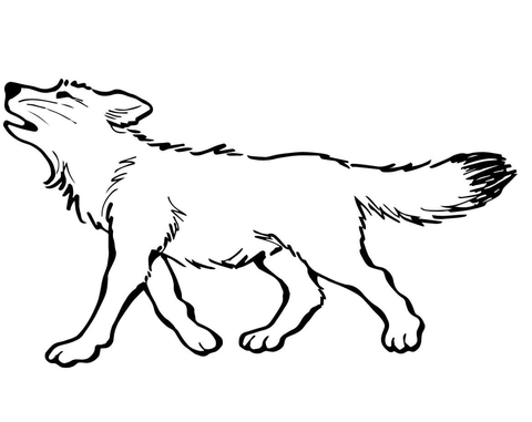 Baby Wolf Coloring page