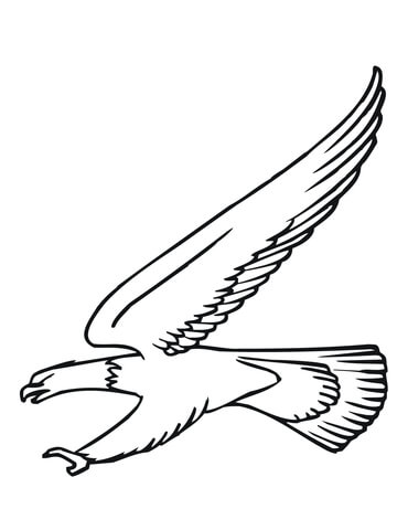 Bald Eagle Attack Coloring page