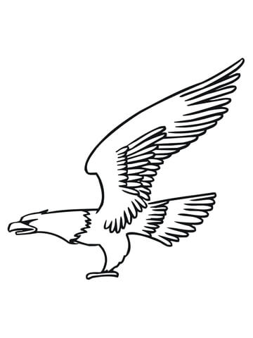 Bald Eagle Fly Coloring page