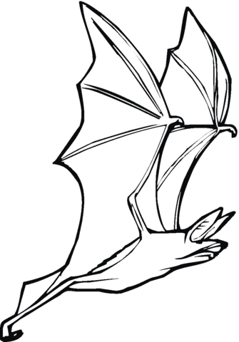 Bat 10 Coloring page