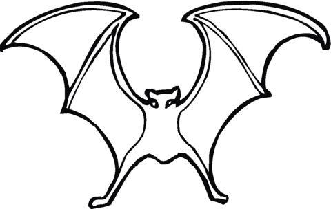 Bat 13 Coloring page