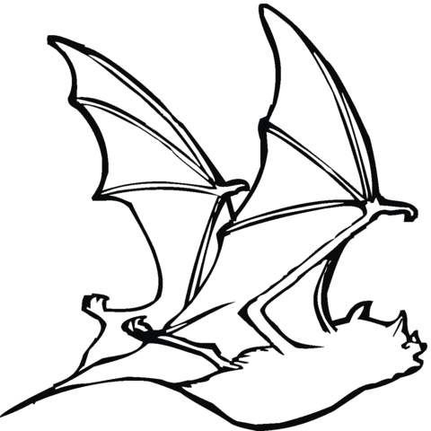 Bat 18 Coloring page