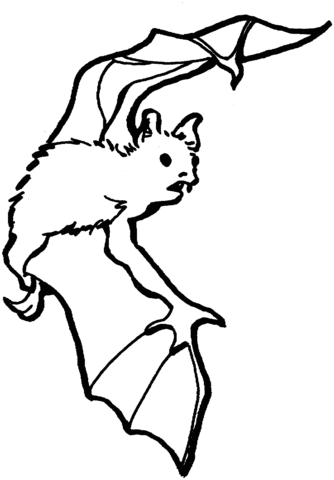 Bat 19 Coloring page