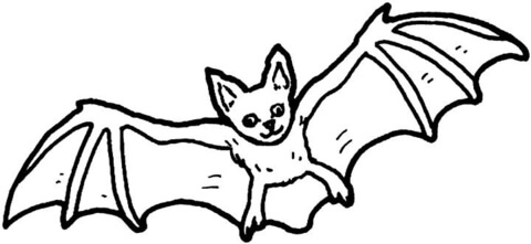 Bat 23 Coloring page