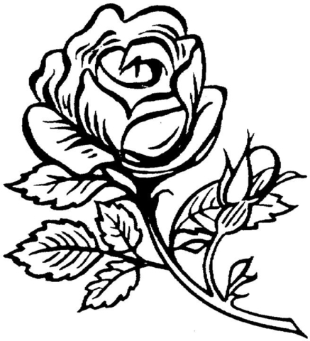 Beautiful big rose Coloring page