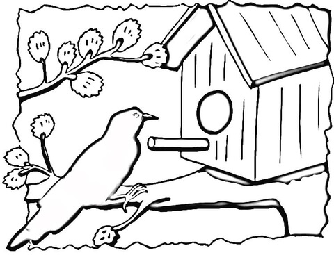 Birdhouse  Coloring page