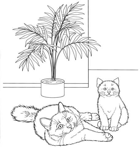 Birman Cat  Coloring page