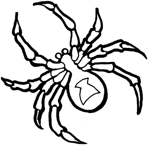 Black Widow Spider Coloring page