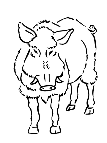 Boar Coloring page