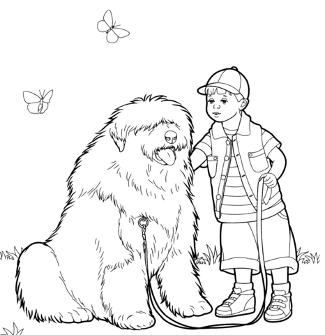 Old English Sheepdog (Bobtail)  Coloring page