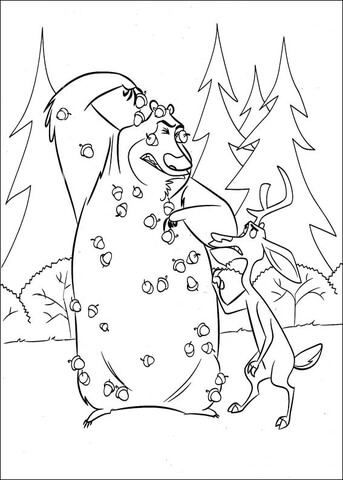 Boog attacked by acorns Coloring page