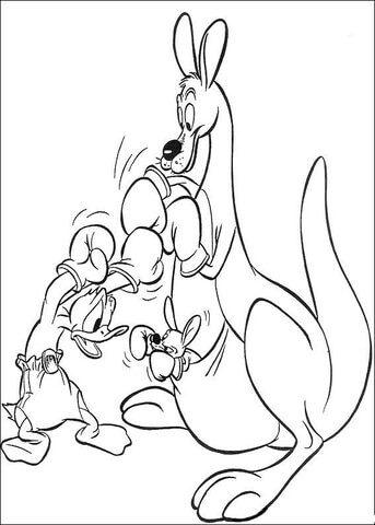 Kangaroo and Donald are Boxing  Coloring page