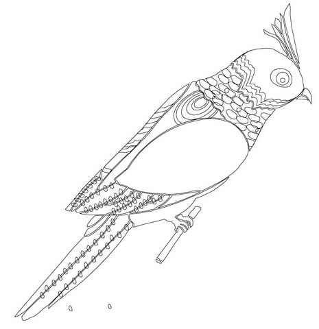 Budgerigar Coloring page