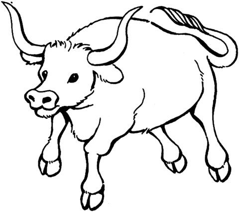 Bull 7 Coloring page