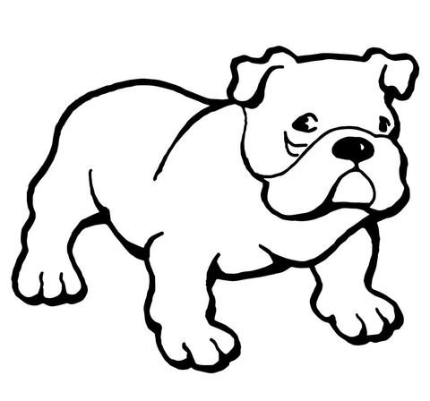 Bulldog Coloring page