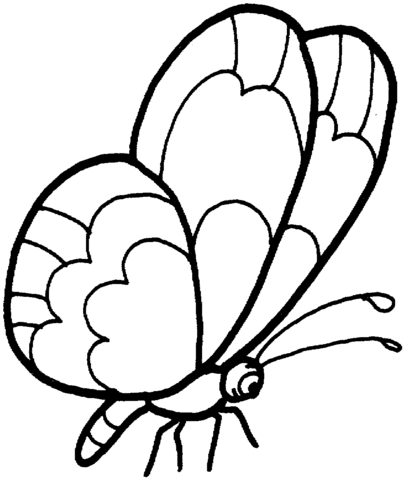 Butterfly 8 Coloring page