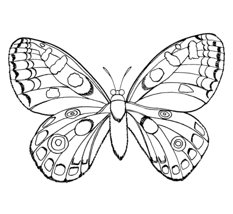 Butterfly Coloring page