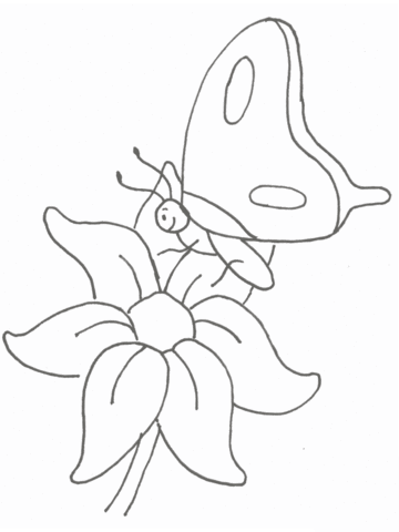 Butterfly On Flower Coloring page