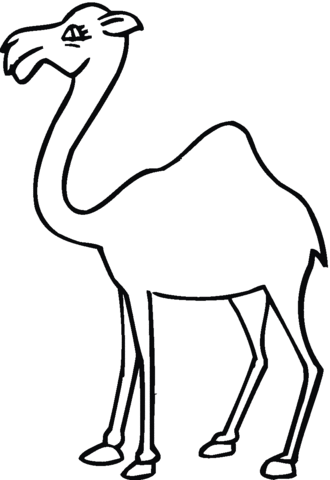 Camel 18 Coloring page