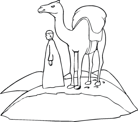 Loaded camel on the go through desert Coloring page