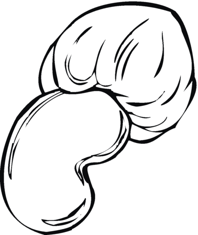 Cashew Nut and Chestnut Coloring page