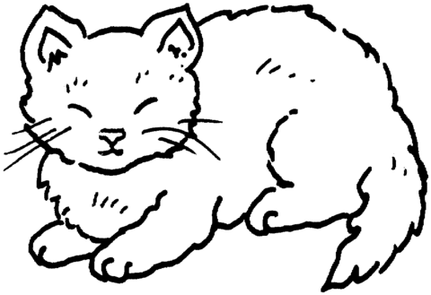 Cat 12 Coloring page