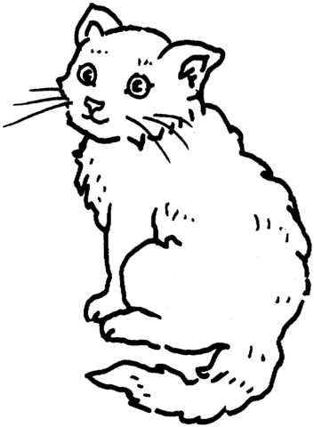 Cat 14 Coloring page