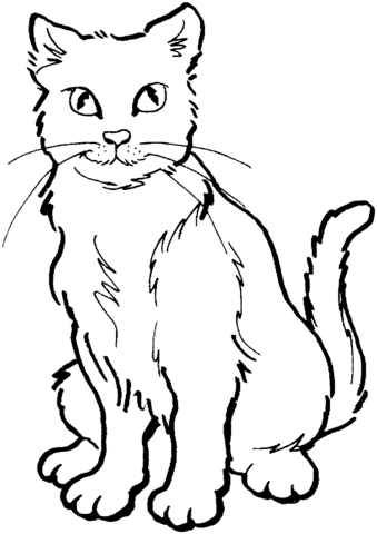 Cat 19 Coloring page