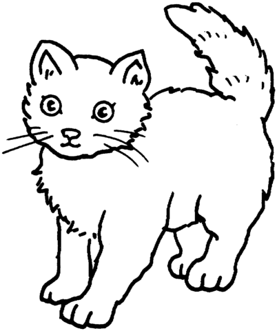 Cat 25 Coloring page