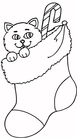 Cat In Stocking Coloring page