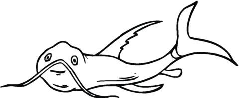 Catfish 24 Coloring page