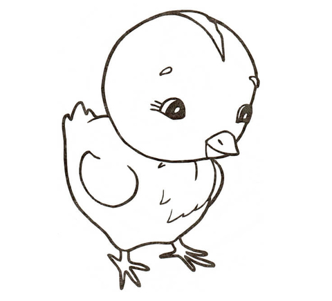 Chicken Coloring page