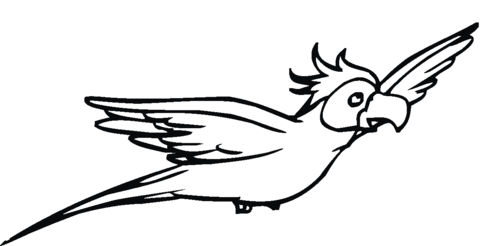 Curious cockatoo Coloring page