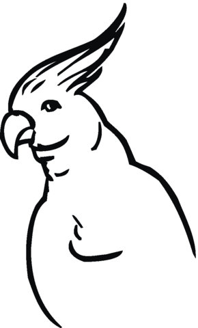 Goffin cockatoo Coloring page