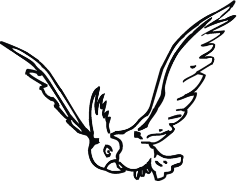 Goffin cockatoo is flying Coloring page