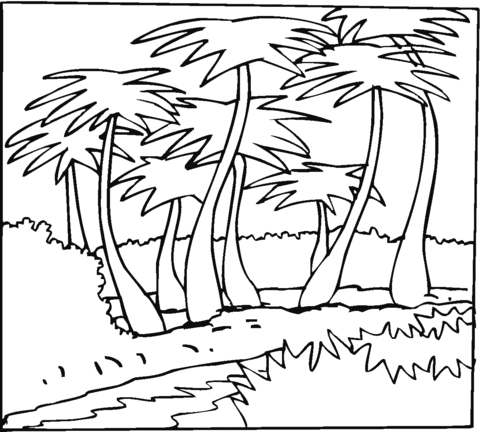 Coconut Palms Outline Coloring page