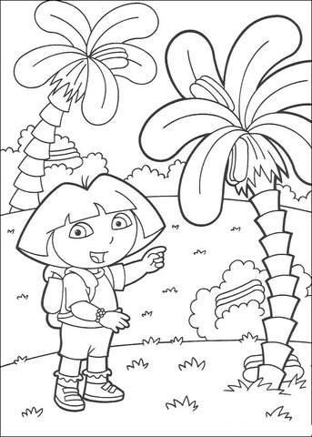 Coconut Tree  Coloring page