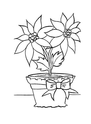 Christmas flower in in a pot Coloring page